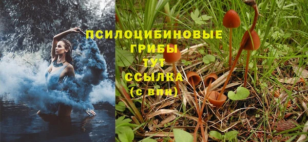 мет Михайлов