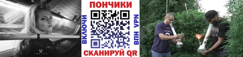 Купить закладки  Каменск-Шахтинский  Конопля марихуана 